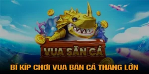 Tuyệt Chiêu Chơi Vua Bắn Cá Tại Bigbet88 Bách Thắng