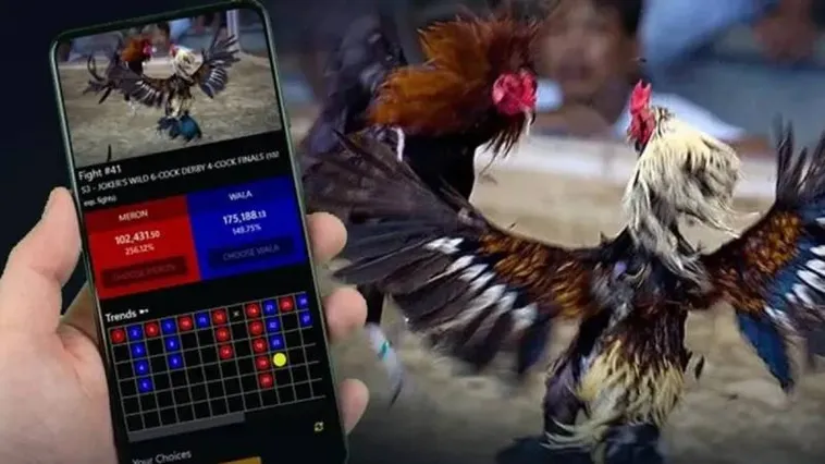 Trải Nghiệm Đỉnh Cao Đá Gà Bigbet88 Sân Chơi Đẳng Cấp Số Một