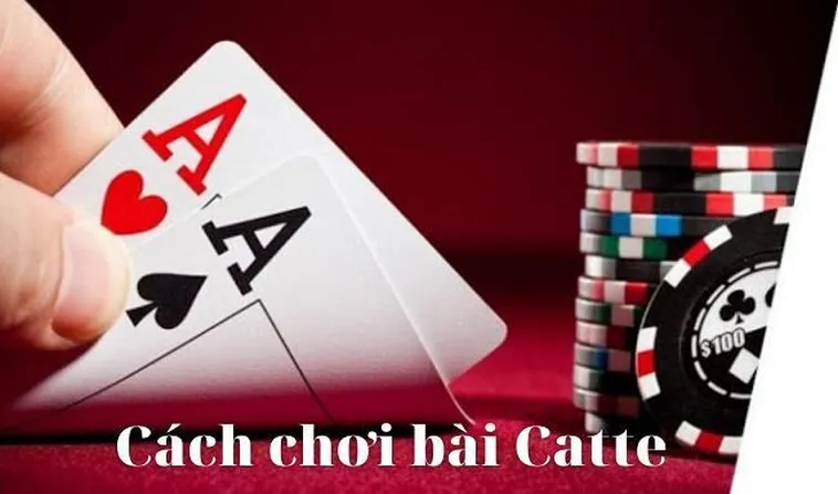 Chiến Thuật Chơi Sắc Tê Nhà Cái Bigbet88 Thắng Lớn Mỗi Ngày